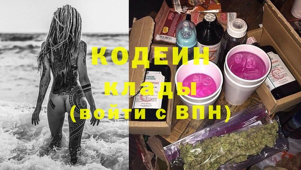 скорость Дмитриев