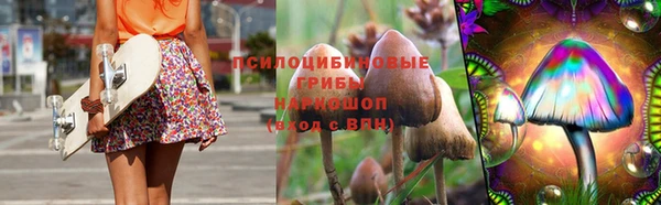 СК Горно-Алтайск