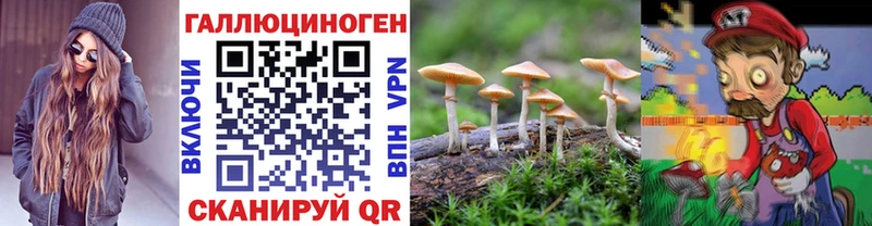 ссылка на мегу как зайти  мориарти состав  Еманжелинск  Галлюциногенные грибы Psilocybine cubensis  наркотики 